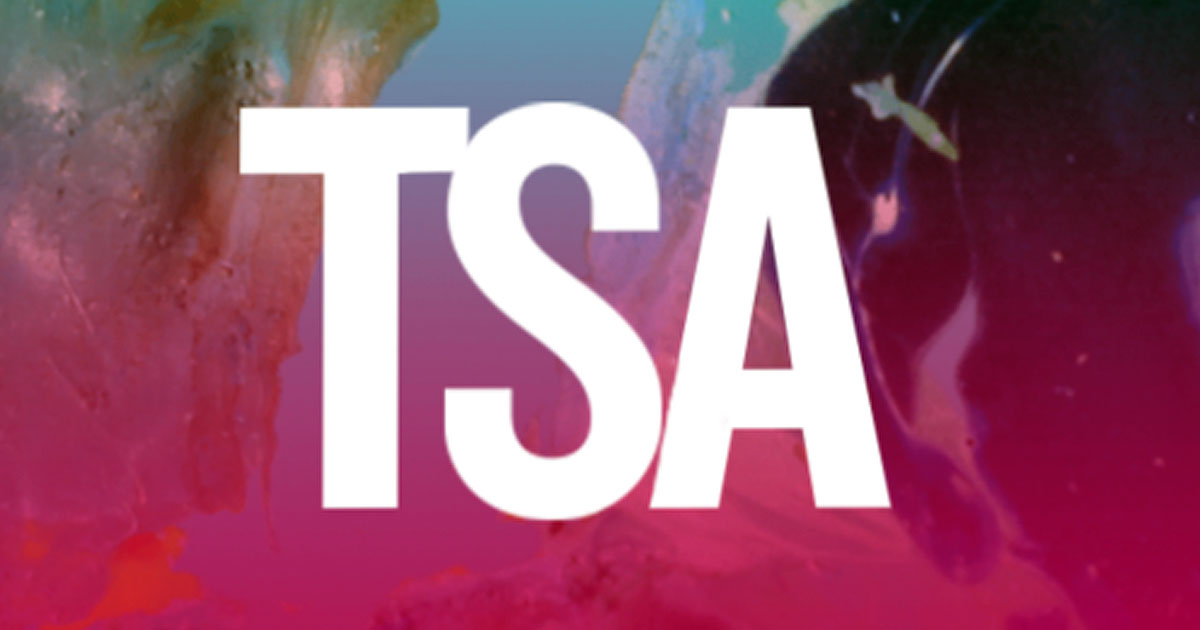 Toronto School of Art 2016 Inc. logo